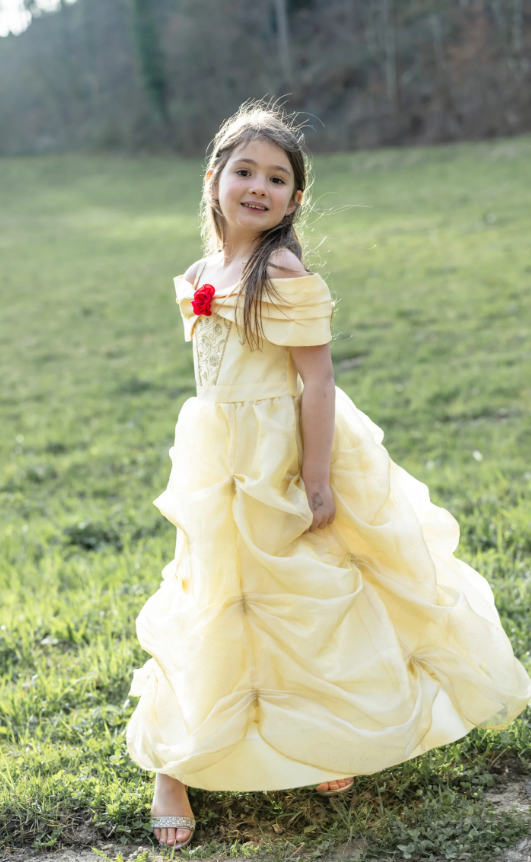 Once Upon A Princess Beauty Dress