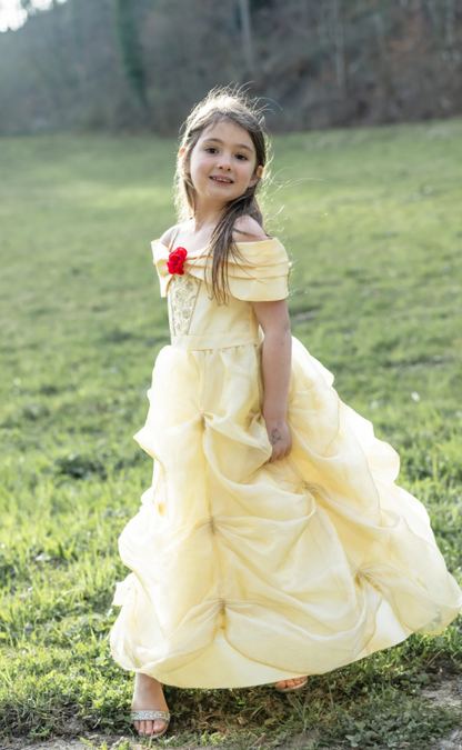 Once Upon A Princess Beauty Dress