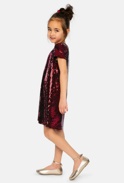 Girl's Festive Dress