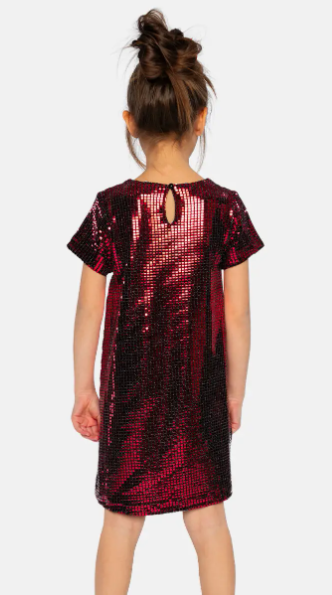 Girl's Festive Dress