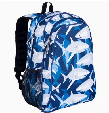15 Inch Kids Backpack