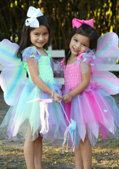 Butterfly Dress w/ Wings and Wand