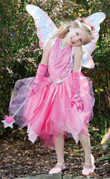 Glitter Rainbow Wings