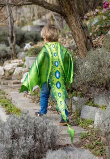 Legendary Dragon Soft Wings