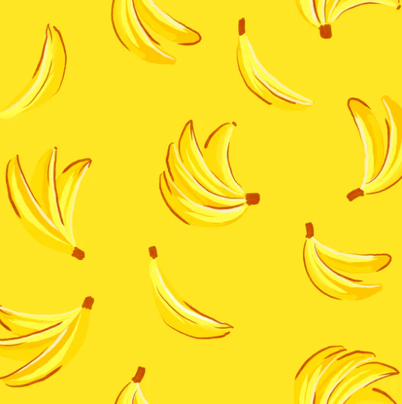 Full Zipper Sunsuit - Banan-Za