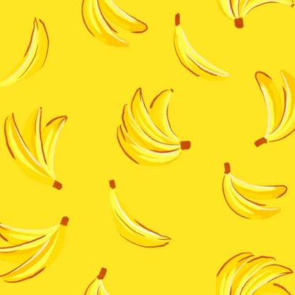 Full Zipper Sunsuit - Banan-Za