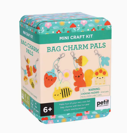 Mini Craft Kit