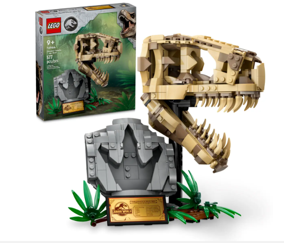 Dinosaur Fossils: T. rex Skull