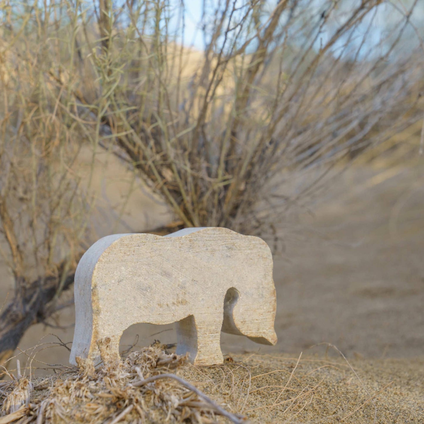 Elephant Soapstone Carving Kit