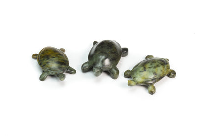 Turtle Soapstone Carving Kit