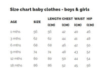 Load image into Gallery viewer, Boys Norwegian Cardigan w/ Hood
