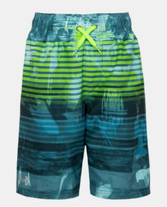 UA Scribble Stripe Swim Shorts