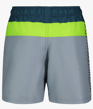 Load image into Gallery viewer, UA Youth Tri Block Volley Swim Shorts
